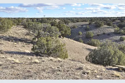 691 Cr 5270, Concho, AZ 85924 - Photo 15
