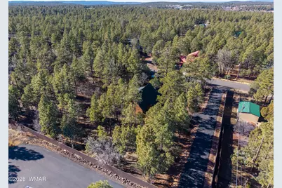 1649 N Blue Grass Ranch Drive, Lakeside, AZ 85929 - Photo 29