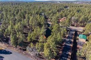 1649 N Blue Grass Ranch Dr, Lakeside, AZ 85929 - Photo 29