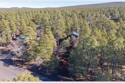 1649 N Blue Grass Ranch Drive, Lakeside, AZ 85929 - Photo 27