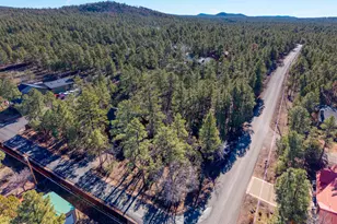 1649 N Blue Grass Ranch Dr, Lakeside, AZ 85929 - Photo 31