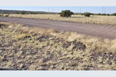 8Z Concho Creek Dr, Concho, AZ 85924 - Photo 5