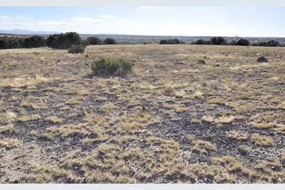 8Z Concho Creek Dr, Concho, AZ 85924 - Photo 7