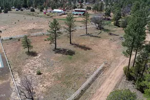 816 Fern Wy, Show Low, AZ 85901 - Photo 91