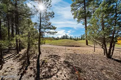 4531 W Fox Glove Lane, Show Low, AZ 85901 - Photo 7