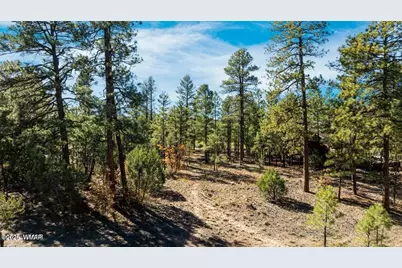 4531 W Fox Glove Lane, Show Low, AZ 85901 - Photo 3