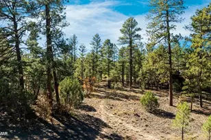 4531 W Foxglove Ln, Show Low, AZ 85901 - Photo 3