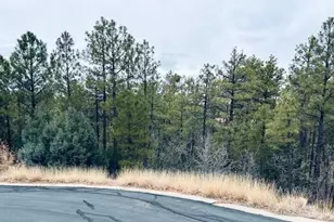 1790 W Snow Creek Trail, Show Low, AZ 85901 - Photo 1