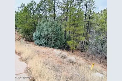 1790 W Snow Creek Trail, Show Low, AZ 85901 - Photo 3