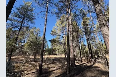 3270 W Black Oak Loop, Show Low, AZ 85901 - Photo 5