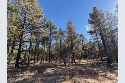 3270 W Black Oak Loop, Show Low, AZ 85901 - Photo 3