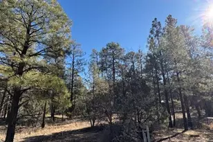 3290 W Black Oak Loop, Show Low, AZ 85901 - Photo 1