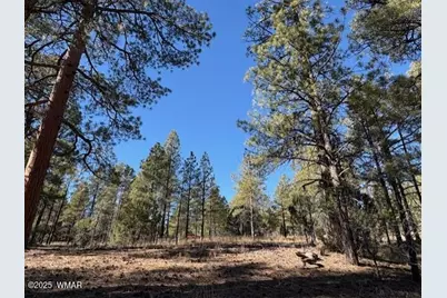 3290 W Black Oak Loop, Show Low, AZ 85901 - Photo 5