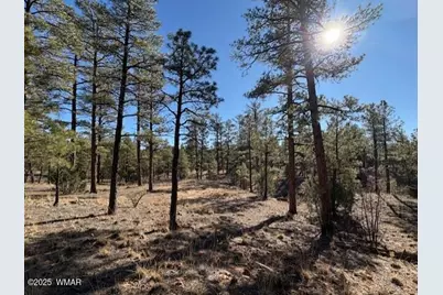 3461 W Black Oak Loop, Show Low, AZ 85901 - Photo 3