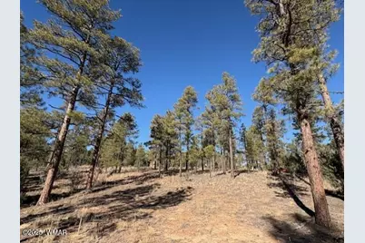 3461 W Black Oak Loop, Show Low, AZ 85901 - Photo 5