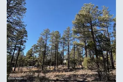 3071 W Black Oak Loop, Show Low, AZ 85901 - Photo 5