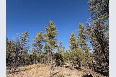 3211 W Black Oak Loop, Show Low, AZ 85901 - Photo 1