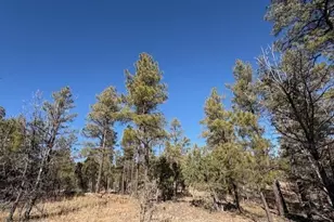 3211 W Black Oak Loop, Show Low, AZ 85901 - Photo 1