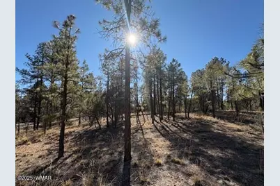 3211 W Black Oak Loop, Show Low, AZ 85901 - Photo 3