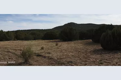 45 County Road 3035, Concho, AZ 85924 - Photo 1