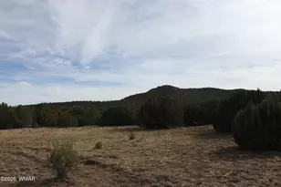 45 Co Rd 3035, Concho, AZ 85924 - Photo 1