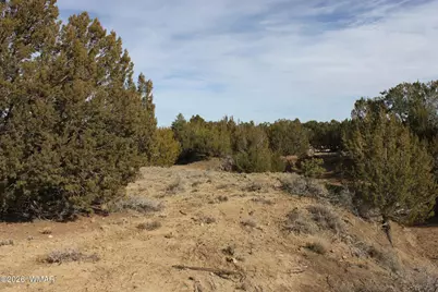 45 County Road 3035, Concho, AZ 85924 - Photo 7