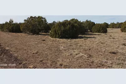 53 County Road 3035, Concho, AZ 85924 - Photo 9