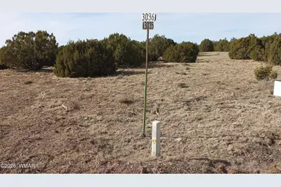 53 County Road 3035, Concho, AZ 85924 - Photo 5