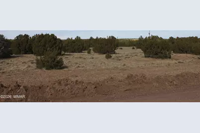 53 County Road 3035, Concho, AZ 85924 - Photo 7