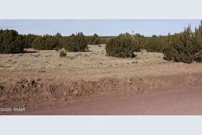 53 County Road 3035, Concho, AZ 85924 - Photo 1