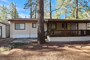 4309 E Blue Ridge Loop, Pinetop, AZ 85935 - Photo 13