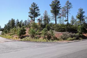 7392 Carina Ln, Lakeside, AZ 85929 - Photo 1