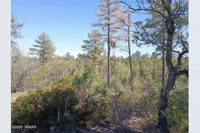 7392 Carina Lane, Lakeside, AZ 85929 - Photo 5