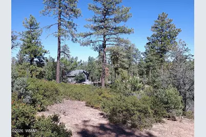 7392 Carina Lane, Lakeside, AZ 85929 - Photo 7