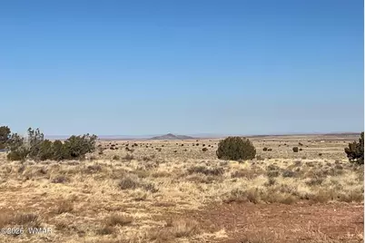 8539 Terry Trail, Snowflake, AZ 85937 - Photo 9