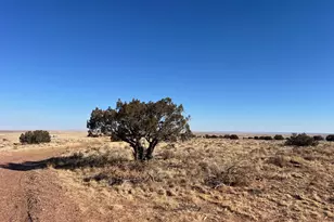 8539 Terry Trail, Snowflake, AZ 85937 - Photo 1