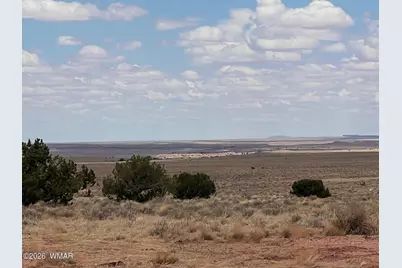 8539 Terry Trail, Snowflake, AZ 85937 - Photo 5