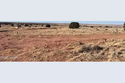 8539 Terry Trail, Snowflake, AZ 85937 - Photo 7