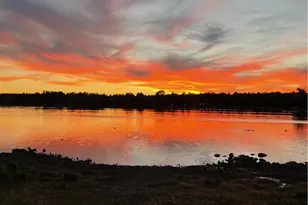 826 Pine Creek Cir, Lakeside, AZ 85929 - Photo 53