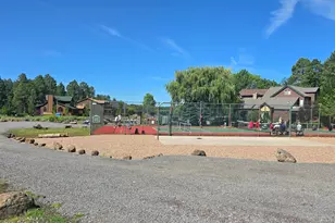 826 Pine Creek Cir, Lakeside, AZ 85929 - Photo 51