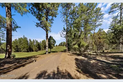 1521 S Little Leaf Lane, Show Low, AZ 85901 - Photo 59