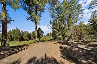 1521 S Little Leaf Ln, Show Low, AZ 85901 - Photo 59