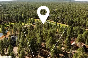 1521 S Little Leaf Ln, Show Low, AZ 85901 - Photo 3