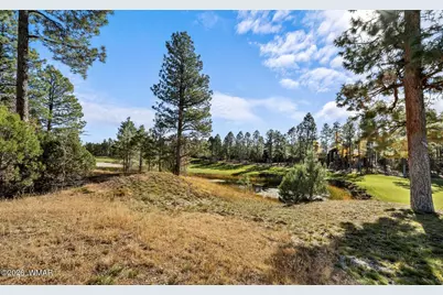 1521 S Little Leaf Lane, Show Low, AZ 85901 - Photo 57