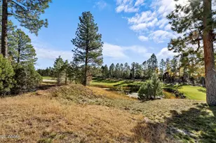 1521 S Little Leaf Ln, Show Low, AZ 85901 - Photo 57