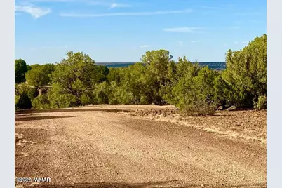 1838 Rocky Bottom Place, Show Low, AZ 85901 - Photo 5