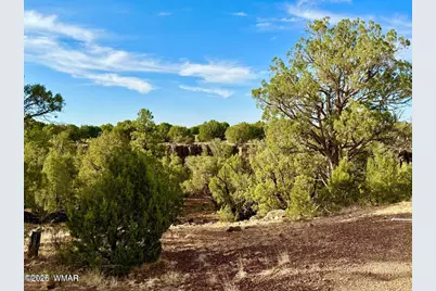 1838 Rocky Bottom Place, Show Low, AZ 85901 - Photo 13