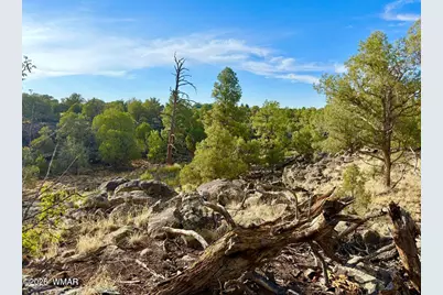 1838 Rocky Bottom Place, Show Low, AZ 85901 - Photo 15
