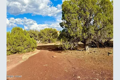 1838 Rocky Bottom Place, Show Low, AZ 85901 - Photo 11
