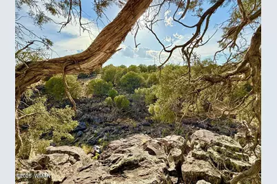 1838 Rocky Bottom Place, Show Low, AZ 85901 - Photo 17